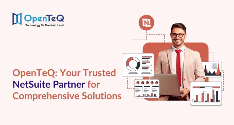 NetSuite Partner